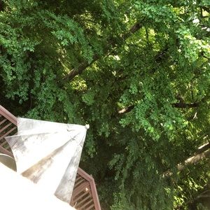 Meet your Posher, Abeer